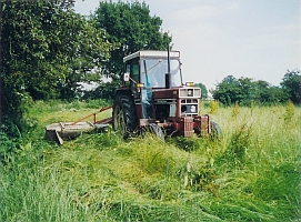 cutting the hay